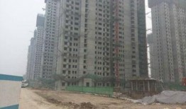 青岛蓝湾爆料最新消息今天,揭秘神秘项目进展与影响