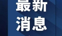 恩桥创美爆料最新消息新闻,揭秘行业动态，引领时尚潮流